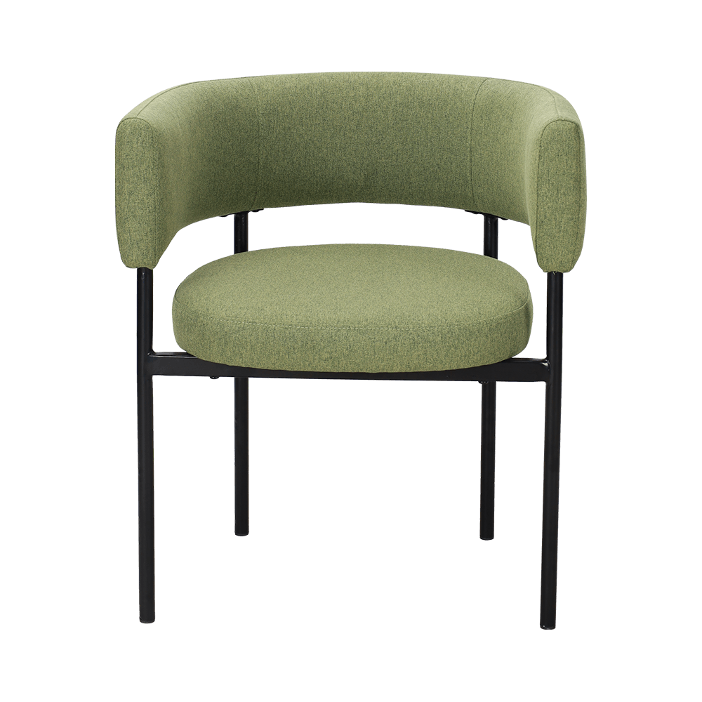 অ্যাসিড সবুজ ধাতব লেগ ডাইনিং চেয়ার